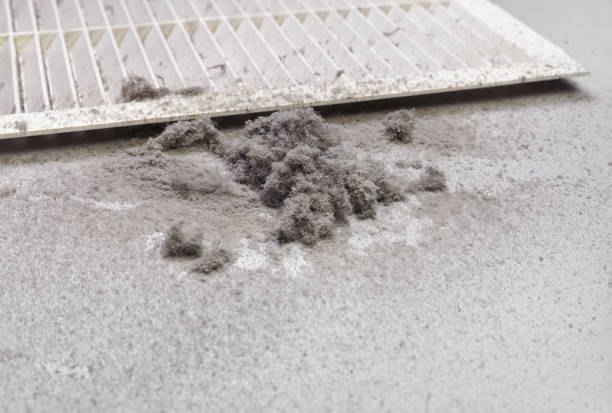 Best Affordable Duct Cleaning Services  in Brentwood, MD