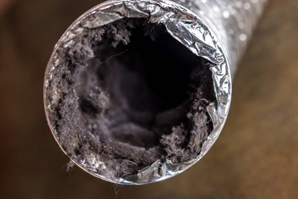 Best Emergency Air Duct Cleaning  in Brentwood, MD